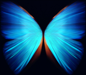 Image - diversity butterfly abstract